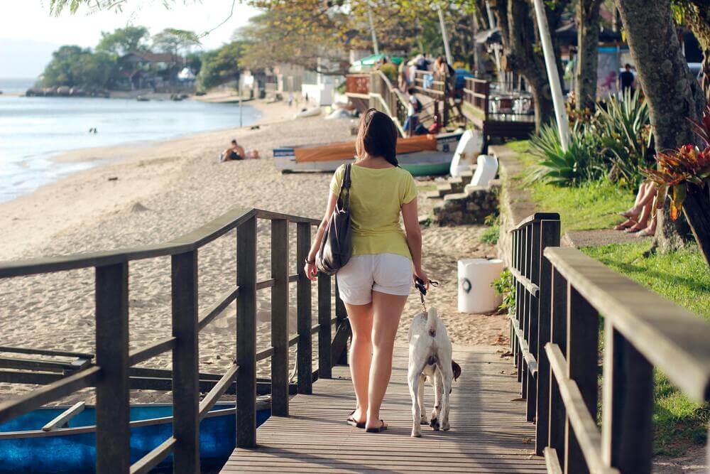 lugares com acessibilidade para viajar no sul- florianópolis 